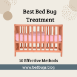 Best Bed Bug Treatment