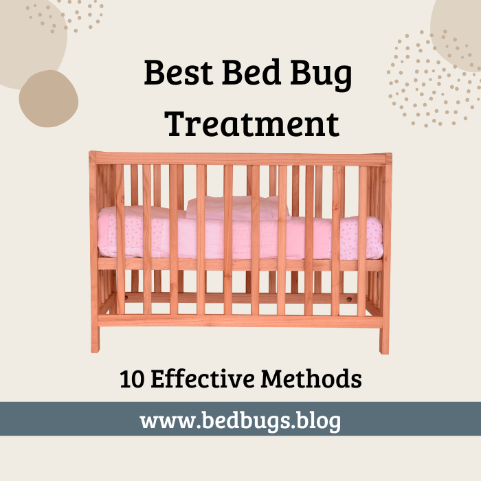 Best Bed Bug Treatment