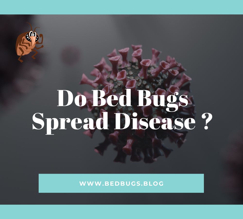 Do Bed Bugs Spread Disease