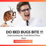 Do Bed Bugs Bite