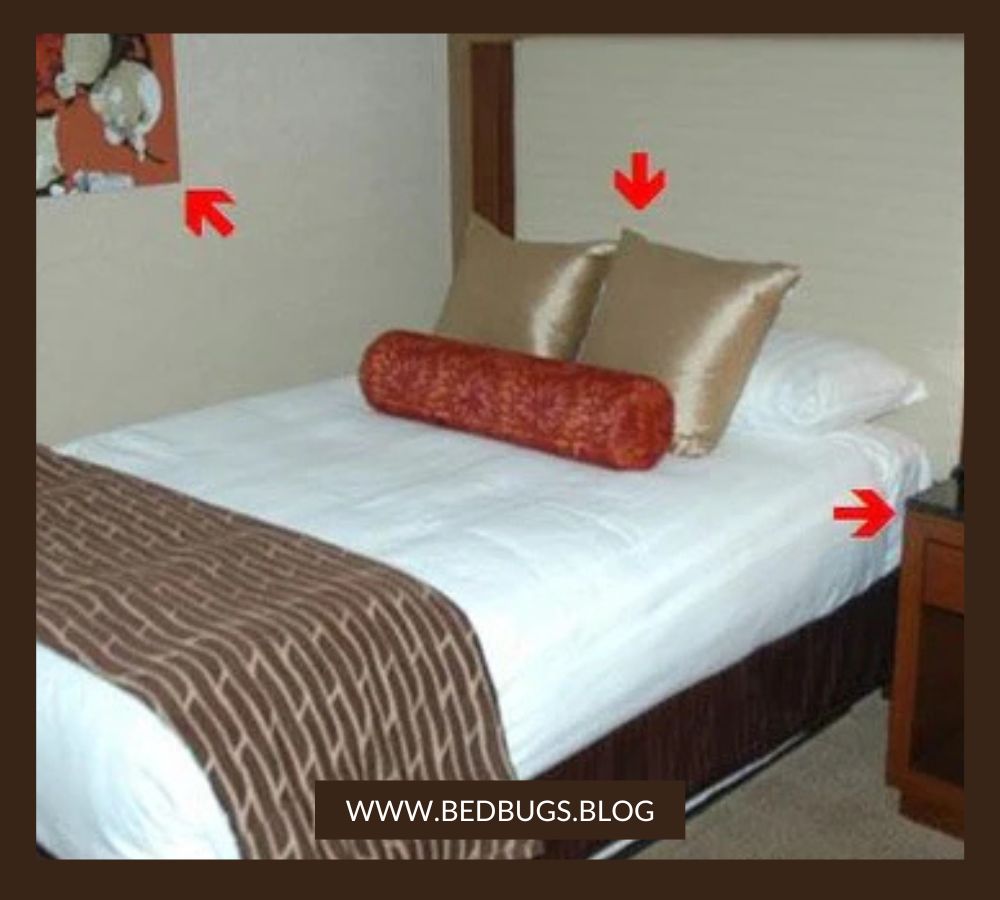 How to Check for Bed Bugs in a Hotel