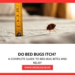 Do Bed Bugs Itch?